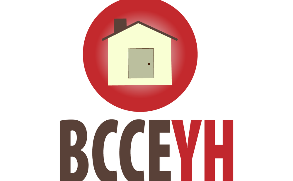 Youth Voice Survey