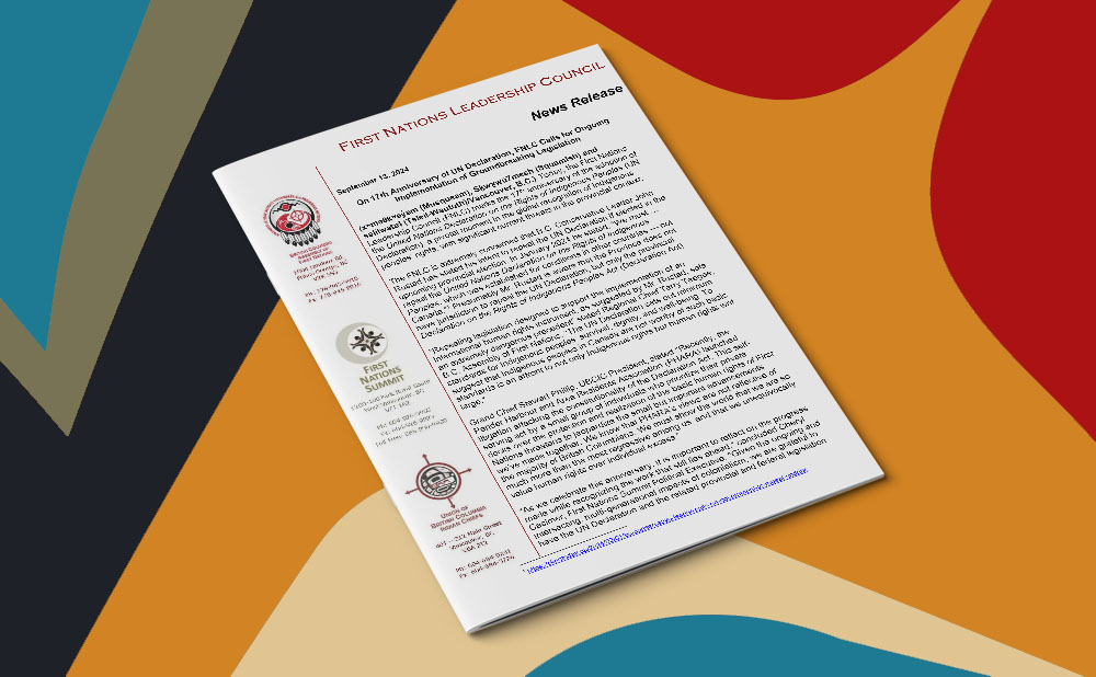 On 17th Anniversary of UN Declaration, FNLC Calls for Ongoing Implementation of Groundbreaking Legislation